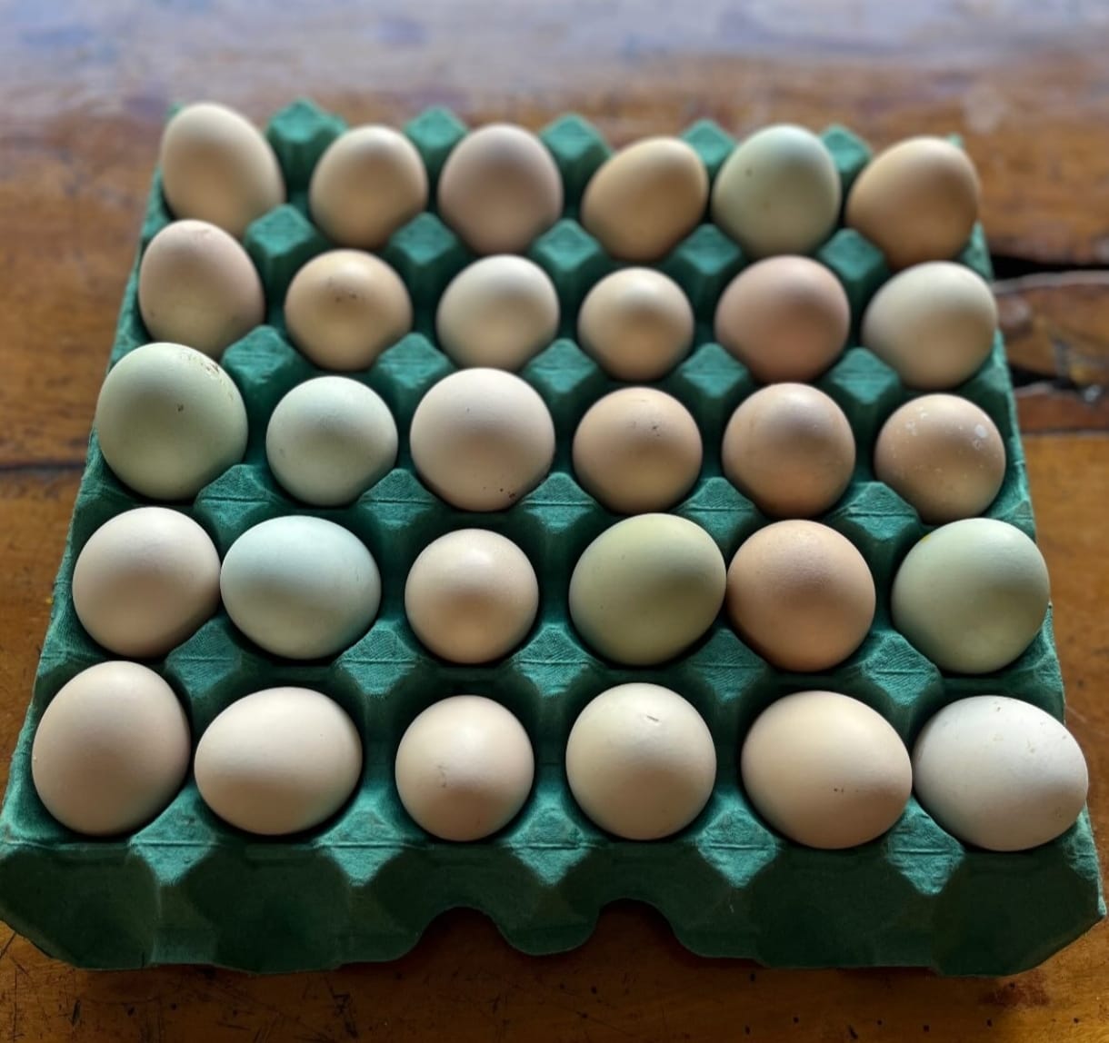 Ovos de Eliane e Patrício Félix